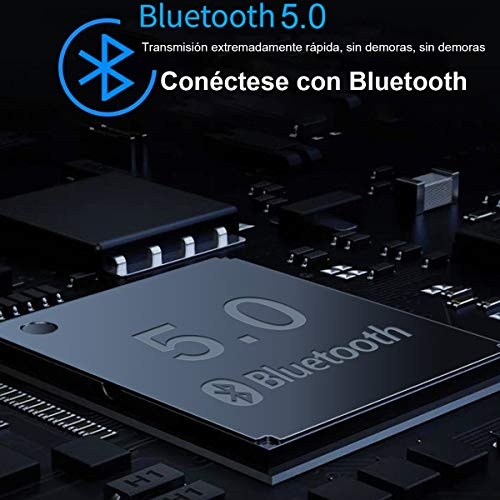Bocina Bluetooth Portátil, Bluetooth 5.0 Altavoz Inalámbrico Impermeable con Sonido Estéreo HD, Bajos Profundos,Reproducción Manos Libres, 3.5mm AUX/Micro SD/TF/USB